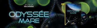 Odyssee mare