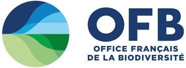 Ofb