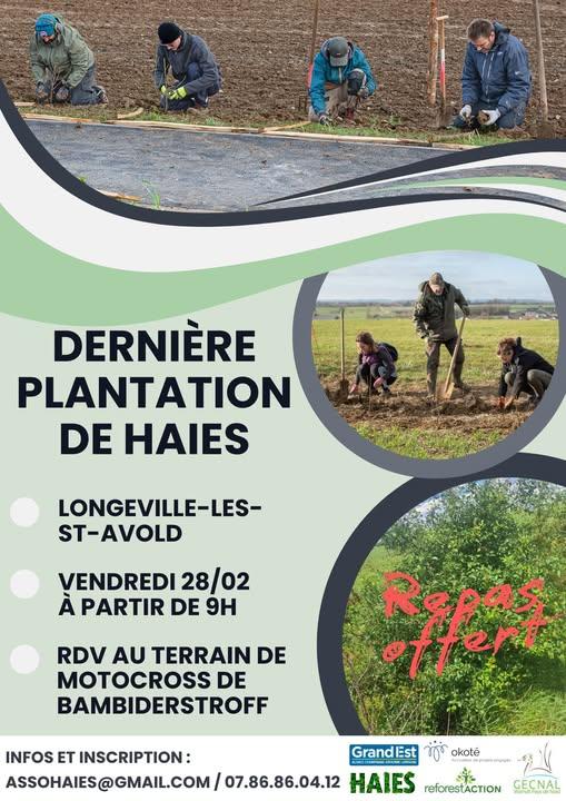 Plantation haie 28 02