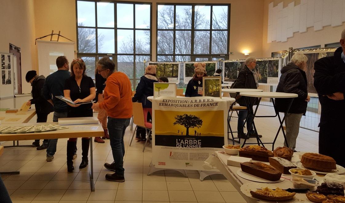 Exposition sur les arbres remarquables, prêtée par l'association A.R.B.R.E.S.