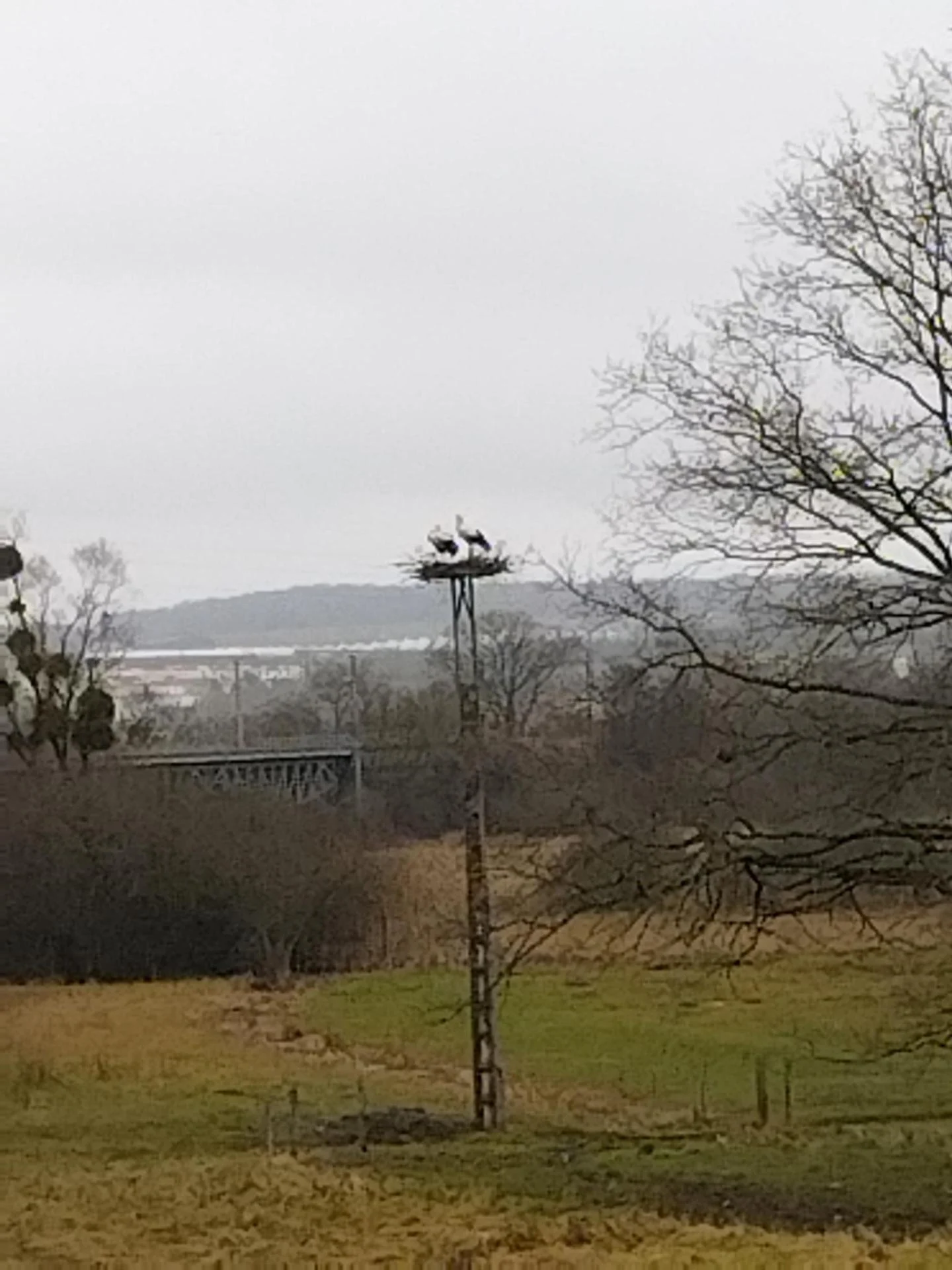 Signal 2026 02 07 17 19 45 438