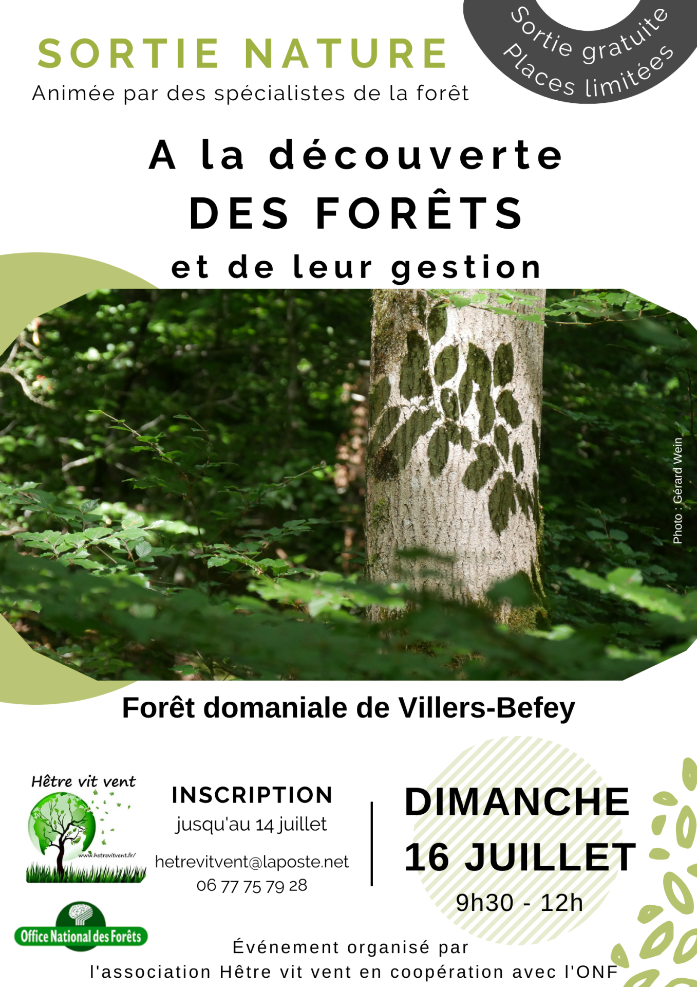 Sortie decouverte forets version finale