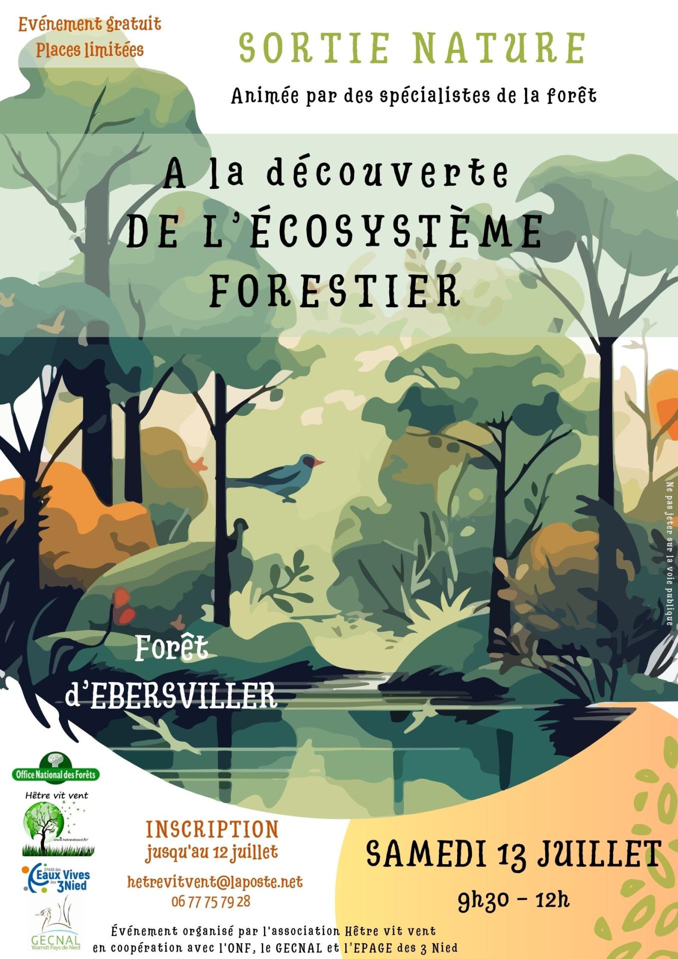 Sortie decouverte forets