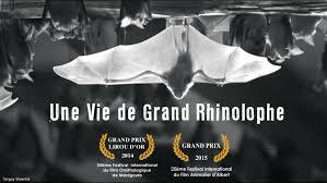Une vie de grand rhinolophe 1